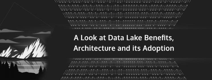What is Data Lake